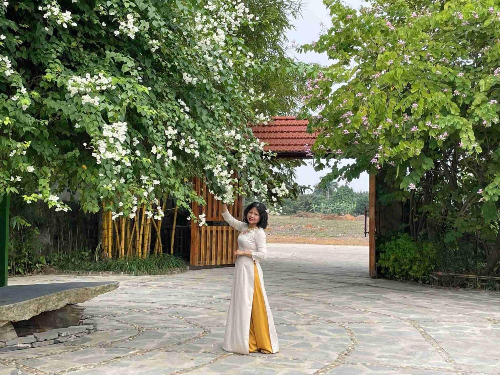 דירות Ninh Binh Eco Garden מראה חיצוני תמונה